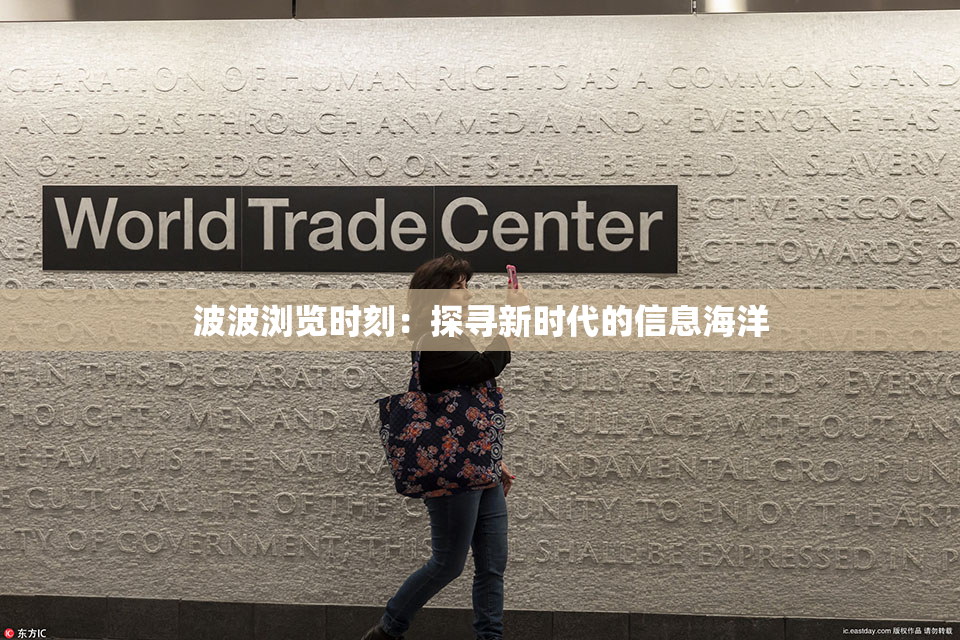 波波浏览时刻：探寻新时代的信息海洋