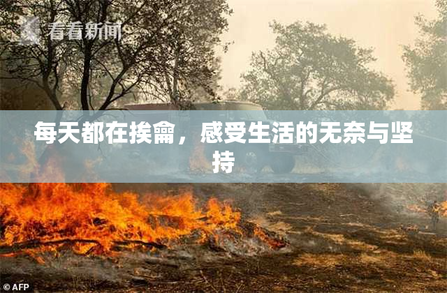 每天都在挨龠，感受生活的无奈与坚持