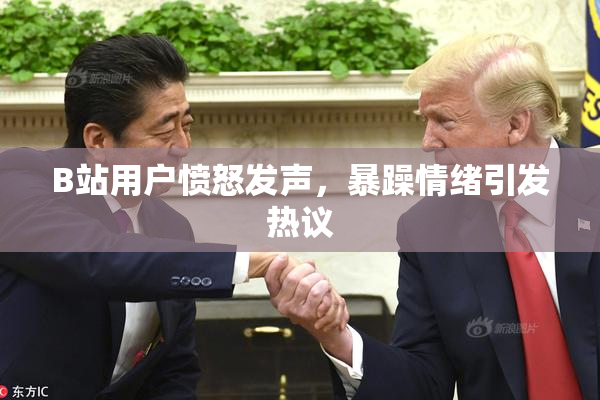 B站用户愤怒发声，暴躁情绪引发热议