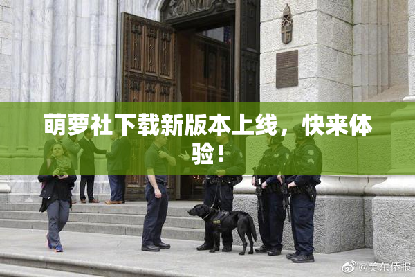 萌萝社下载新版本上线，快来体验！