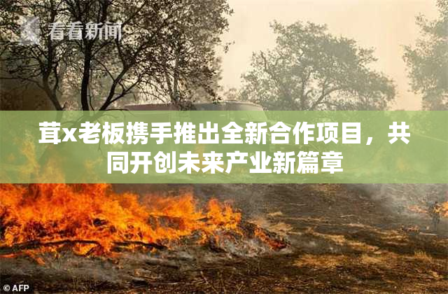 茸x老板携手推出全新合作项目，共同开创未来产业新篇章