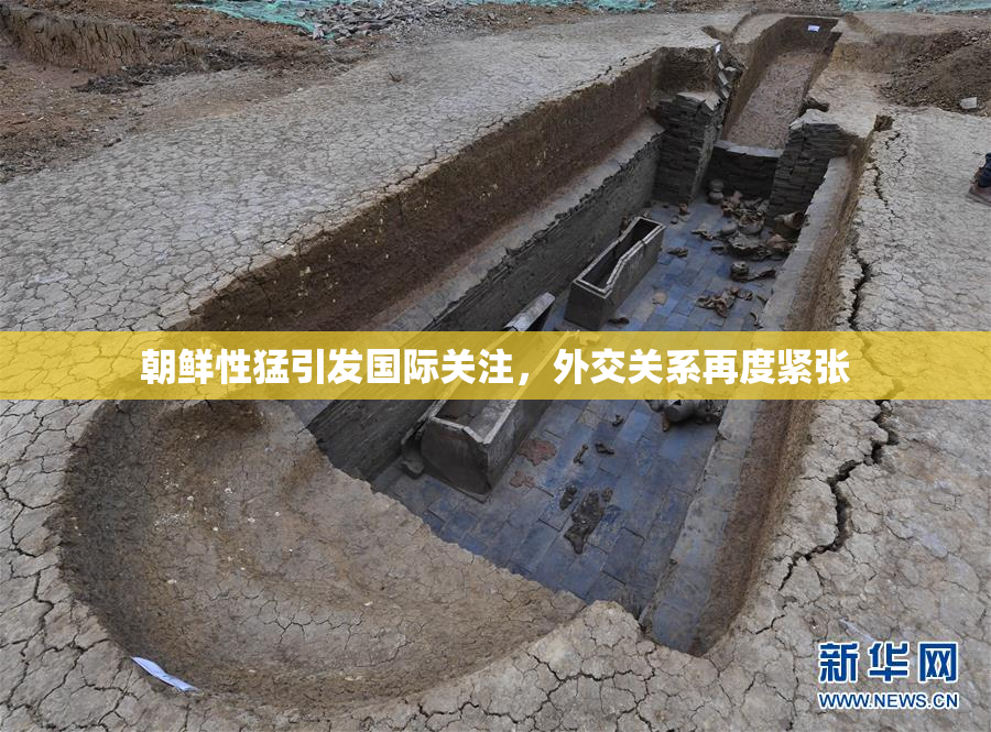 朝鲜性猛引发国际关注，外交关系再度紧张