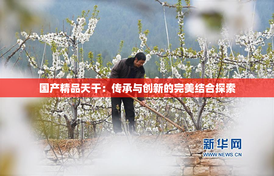 国产精品天干：传承与创新的完美结合探索
