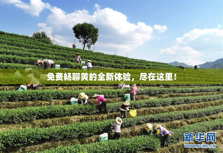 免费畅聊黄的全新体验，尽在这里！