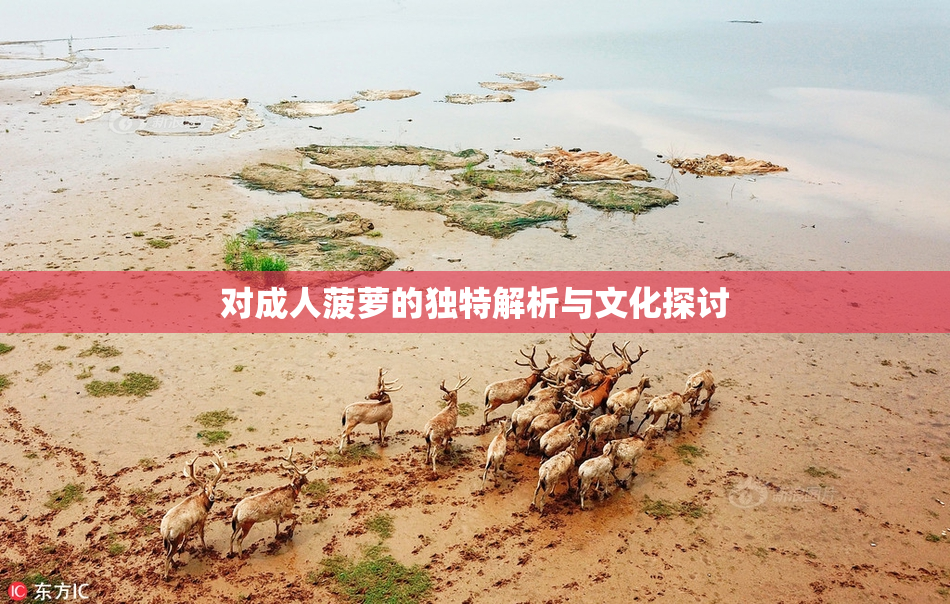对成人菠萝的独特解析与文化探讨