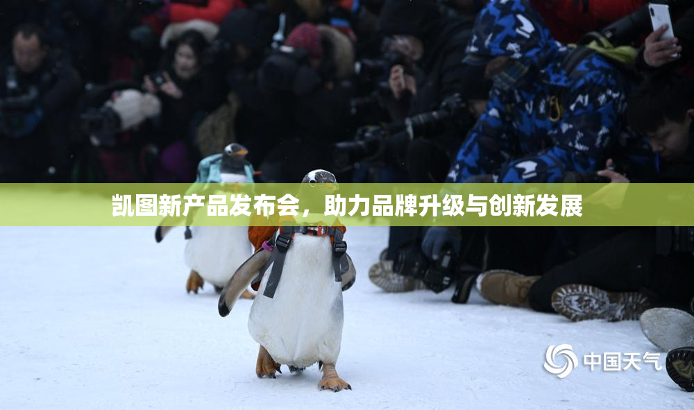 凯图新产品发布会，助力品牌升级与创新发展