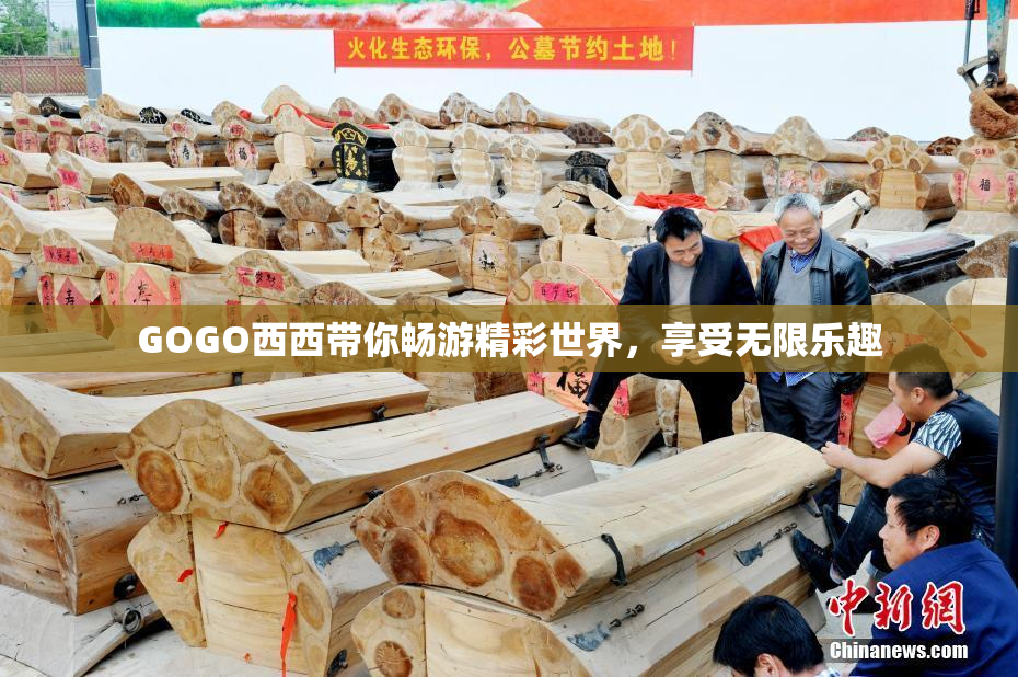 GOGO西西带你畅游精彩世界，享受无限乐趣