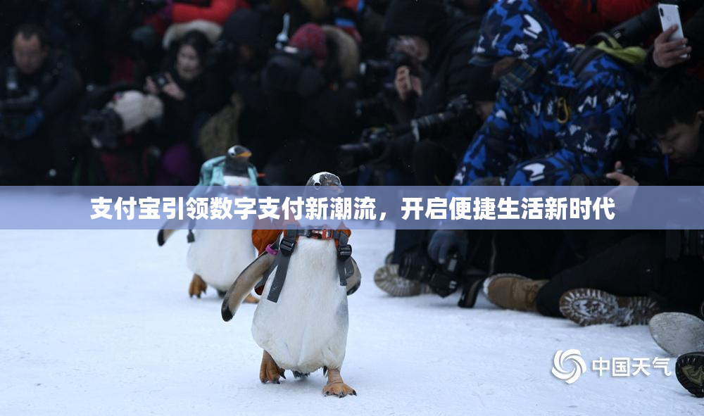 支付宝引领数字支付新潮流，开启便捷生活新时代