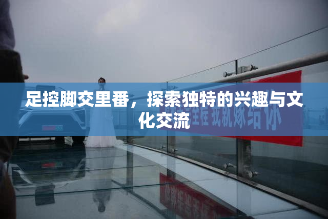 足控脚交里番，探索独特的兴趣与文化交流
