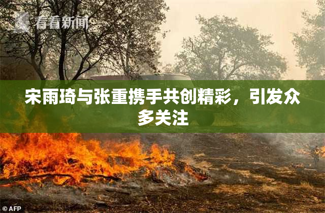 宋雨琦与张重携手共创精彩，引发众多关注