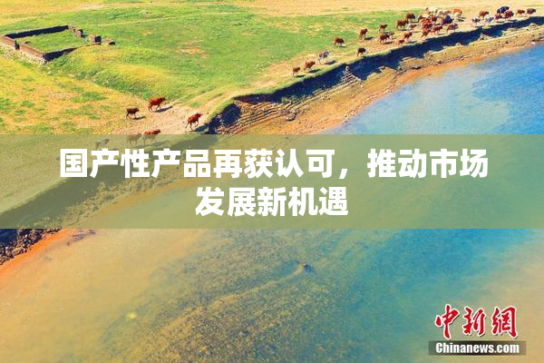 国产性产品再获认可，推动市场发展新机遇
