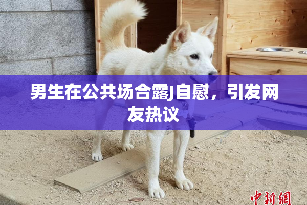 男生在公共场合露J自慰，引发网友热议