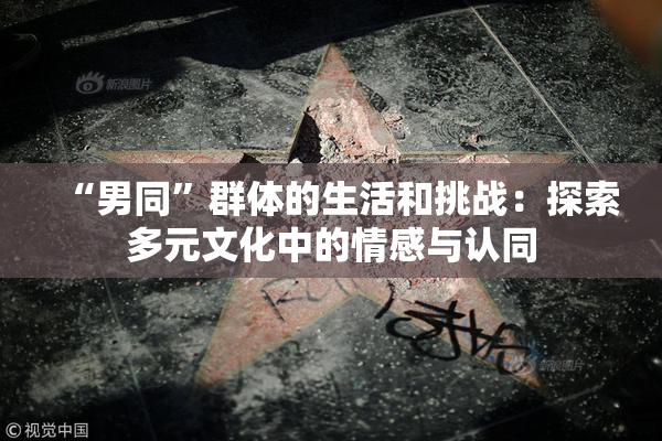 “男同”群体的生活和挑战：探索多元文化中的情感与认同