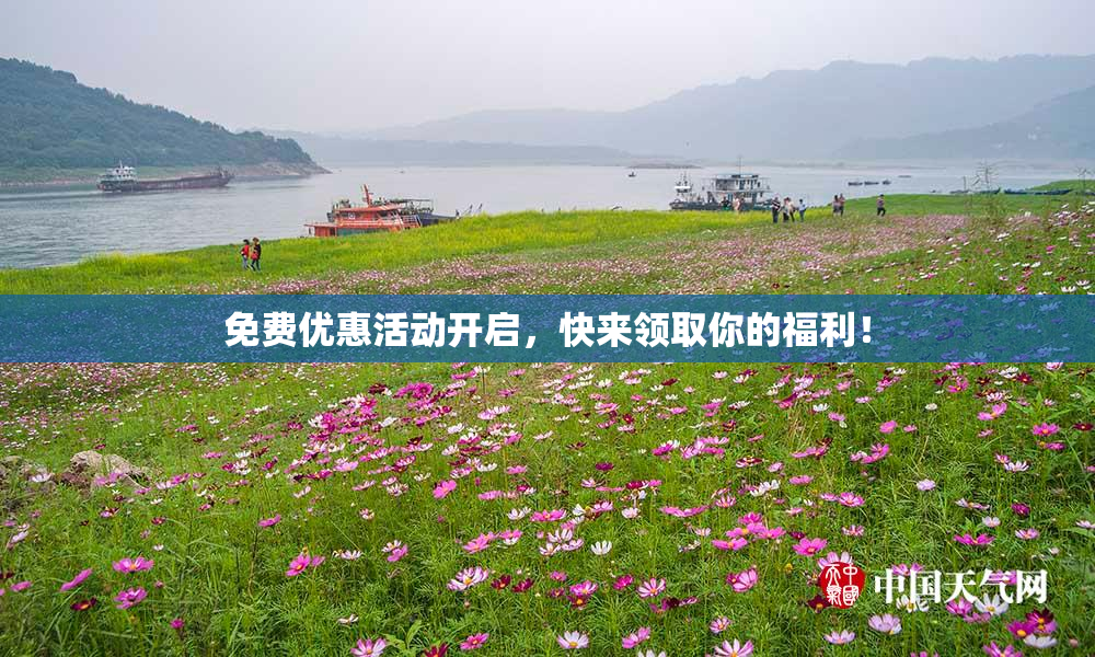 免费优惠活动开启，快来领取你的福利！