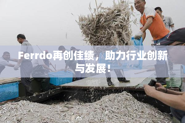 Ferrdo再创佳绩，助力行业创新与发展！