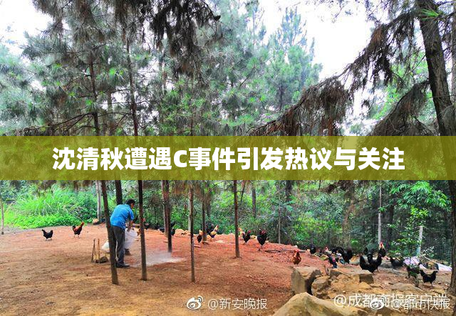 沈清秋遭遇C事件引发热议与关注