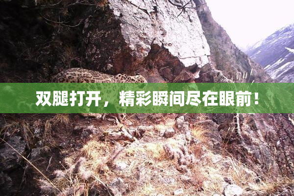 双腿打开，精彩瞬间尽在眼前！