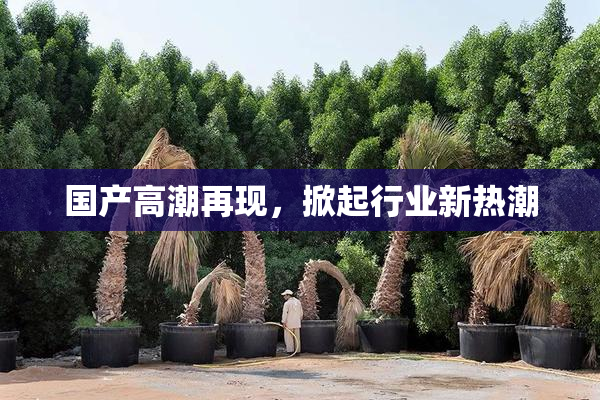 国产高潮再现，掀起行业新热潮