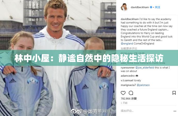 林中小屋：静谧自然中的隐秘生活探访