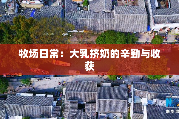 牧场日常：大乳挤奶的辛勤与收获