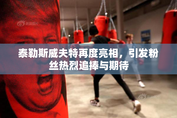 泰勒斯威夫特再度亮相，引发粉丝热烈追捧与期待