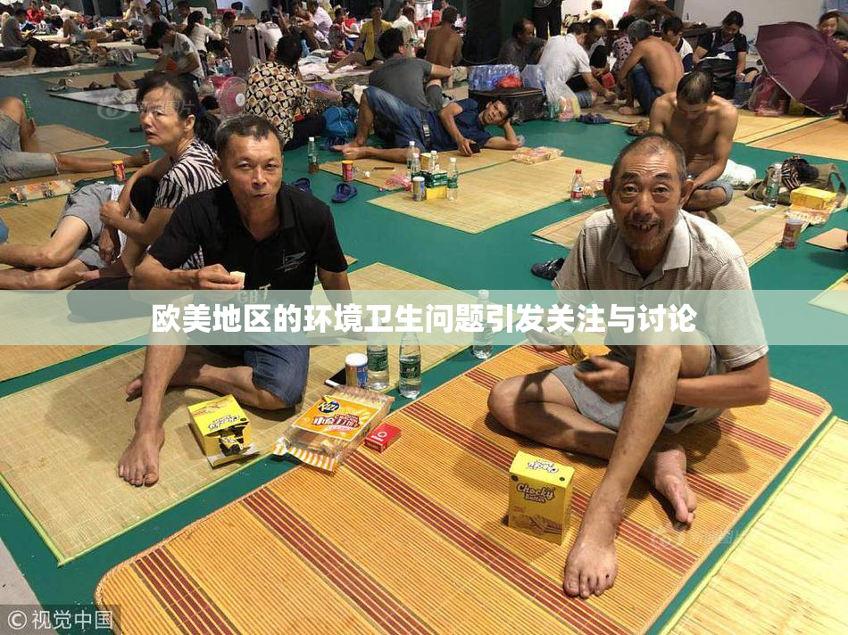 欧美地区的环境卫生问题引发关注与讨论