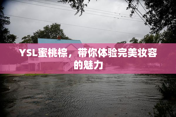 YSL蜜桃棕，带你体验完美妆容的魅力
