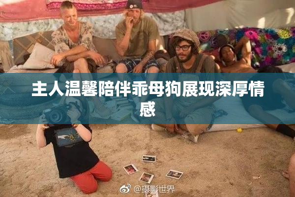 主人温馨陪伴乖母狗展现深厚情感