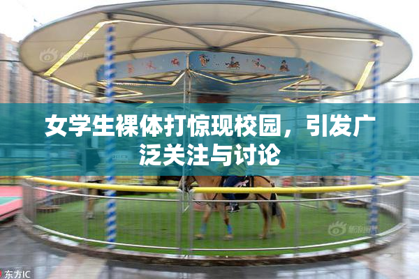女学生裸体打惊现校园，引发广泛关注与讨论