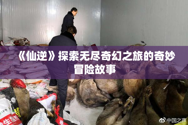 《仙逆》探索无尽奇幻之旅的奇妙冒险故事