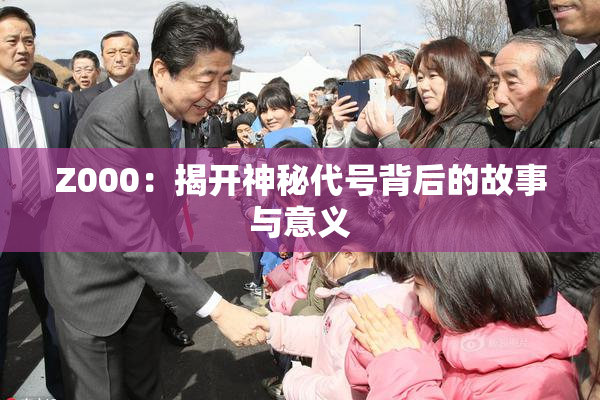 Z000：揭开神秘代号背后的故事与意义