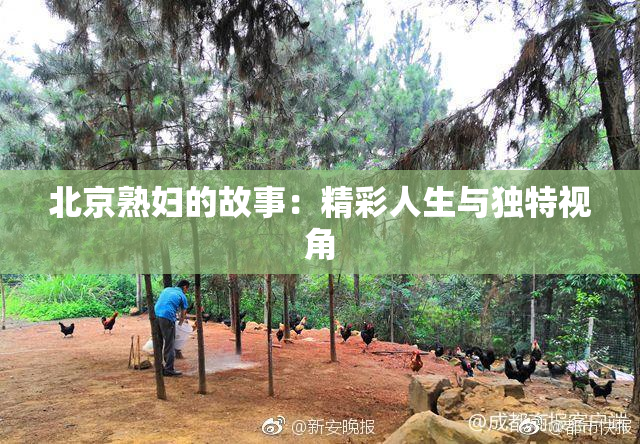 北京熟妇的故事：精彩人生与独特视角