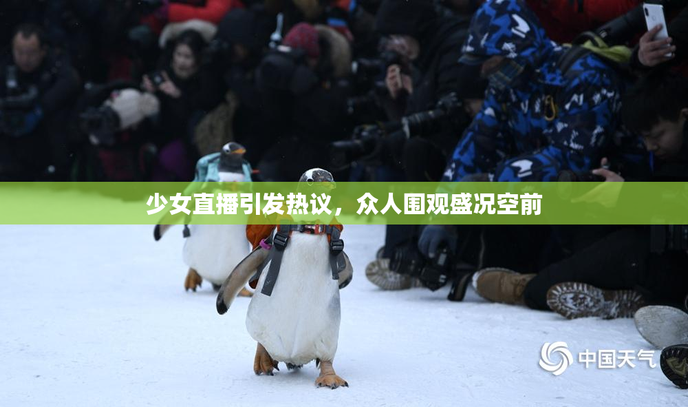 少女直播引发热议，众人围观盛况空前