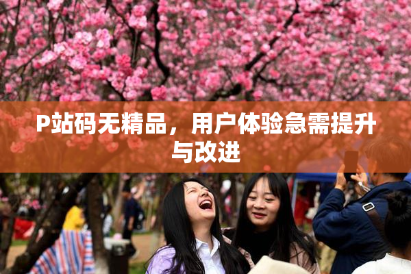 P站码无精品，用户体验急需提升与改进