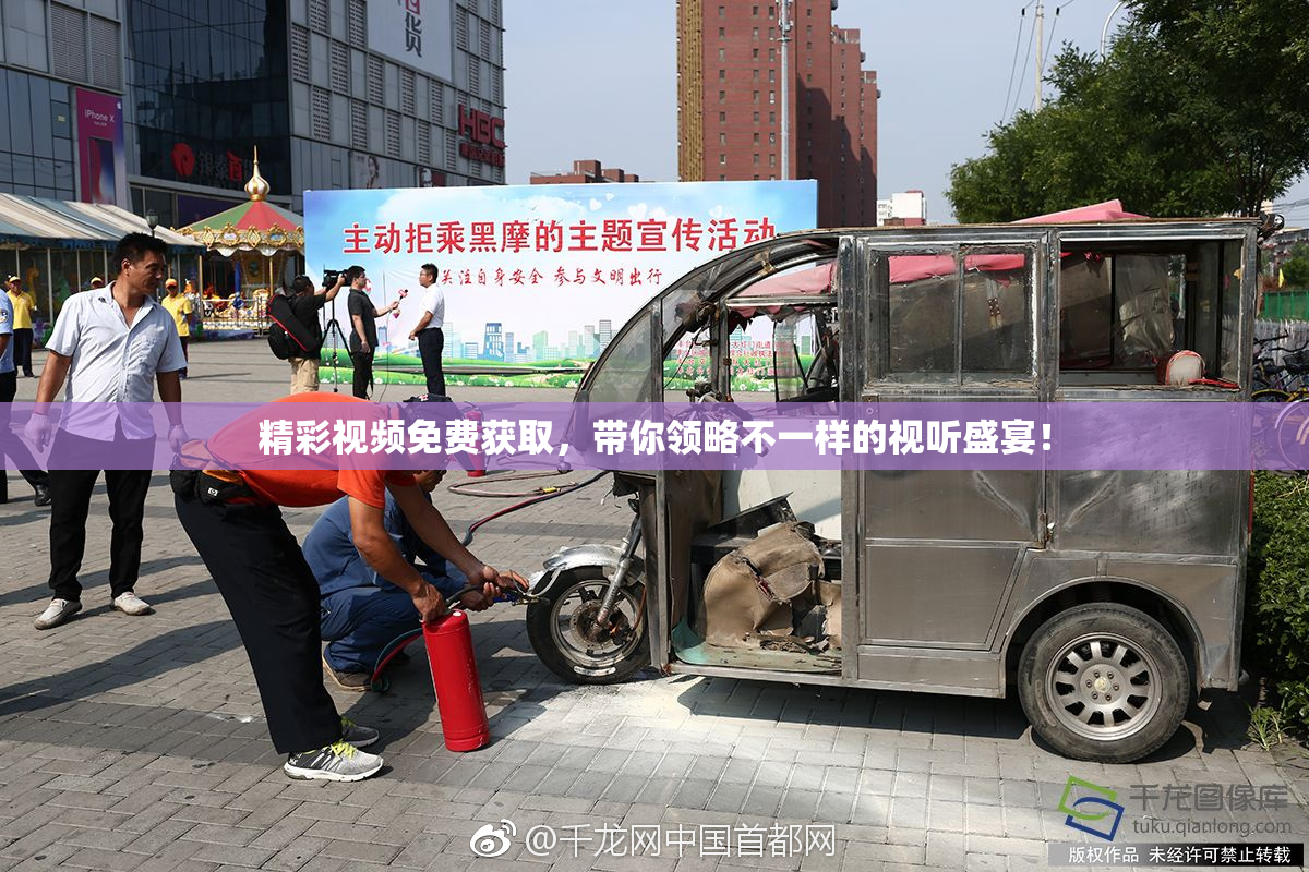 精彩视频免费获取，带你领略不一样的视听盛宴！