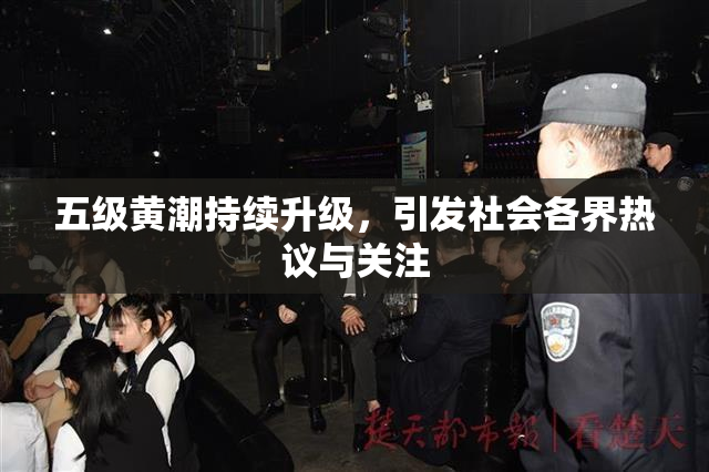 五级黄潮持续升级，引发社会各界热议与关注