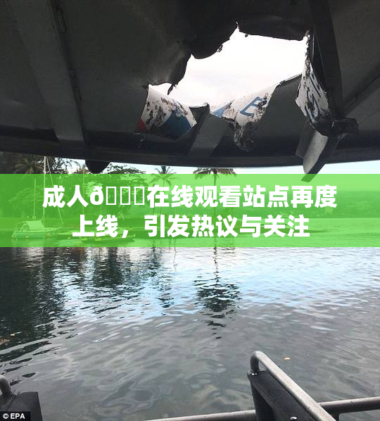 成人🔞在线观看站点再度上线，引发热议与关注
