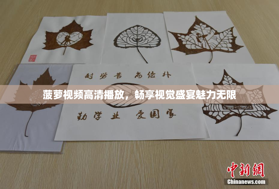 菠萝视频高清播放，畅享视觉盛宴魅力无限