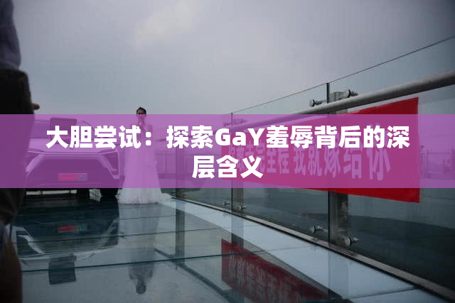 大胆尝试：探索GaY羞辱背后的深层含义