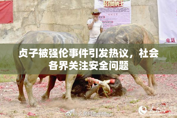 贞子被强伦事件引发热议，社会各界关注安全问题