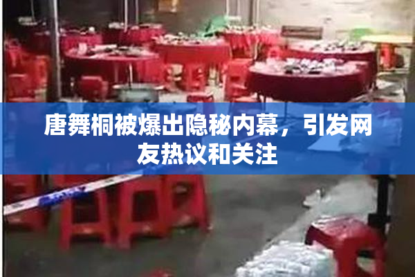唐舞桐被爆出隐秘内幕，引发网友热议和关注