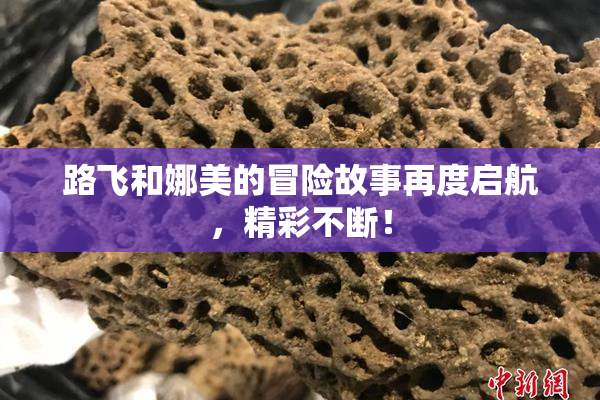 路飞和娜美的冒险故事再度启航，精彩不断！