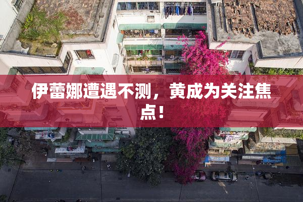 伊蕾娜遭遇不测，黄成为关注焦点！