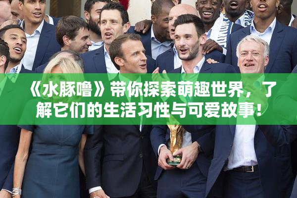 《水豚噜》带你探索萌趣世界，了解它们的生活习性与可爱故事！