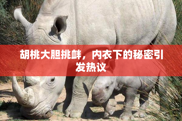 胡桃大胆挑衅，内衣下的秘密引发热议