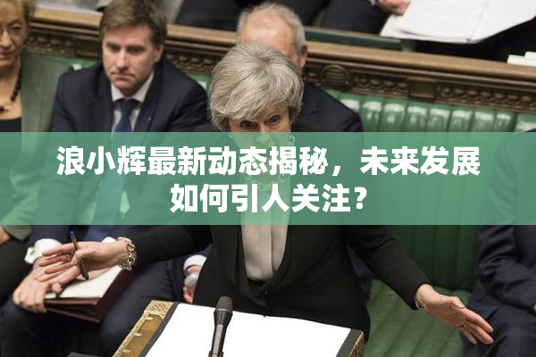 浪小辉最新动态揭秘，未来发展如何引人关注？