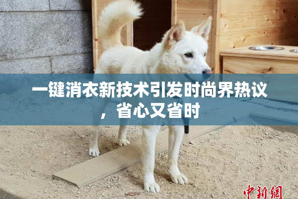 一键消衣新技术引发时尚界热议，省心又省时