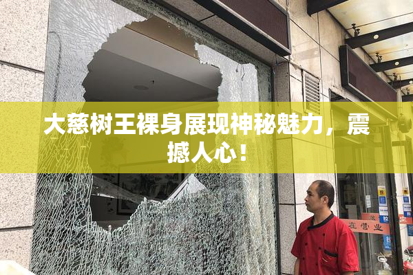 大慈树王裸身展现神秘魅力，震撼人心！