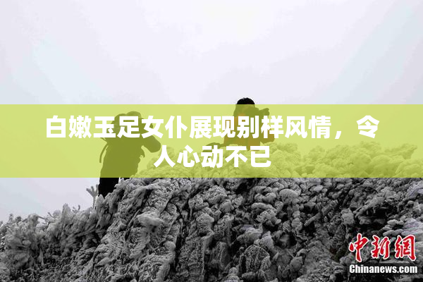 白嫩玉足女仆展现别样风情，令人心动不已