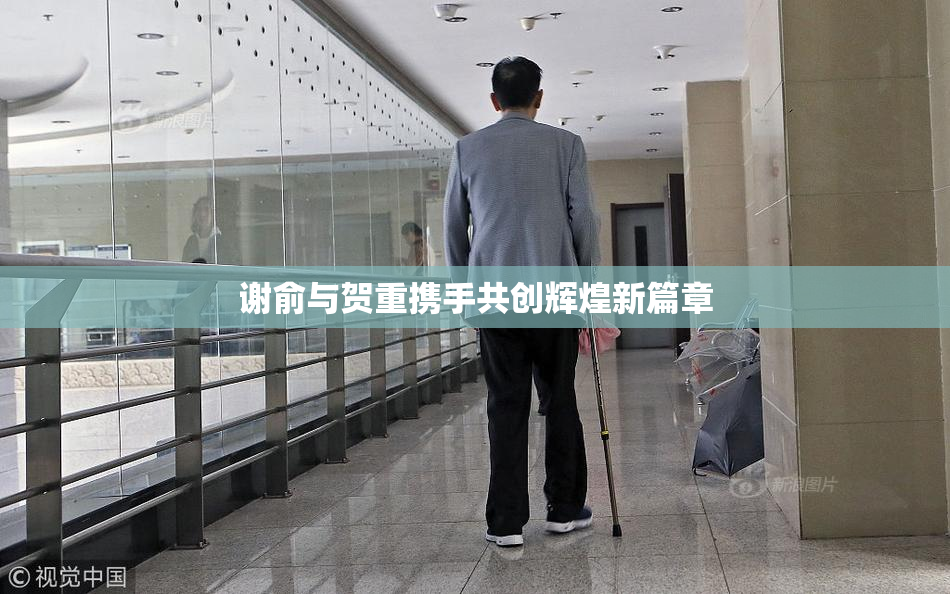 谢俞与贺重携手共创辉煌新篇章